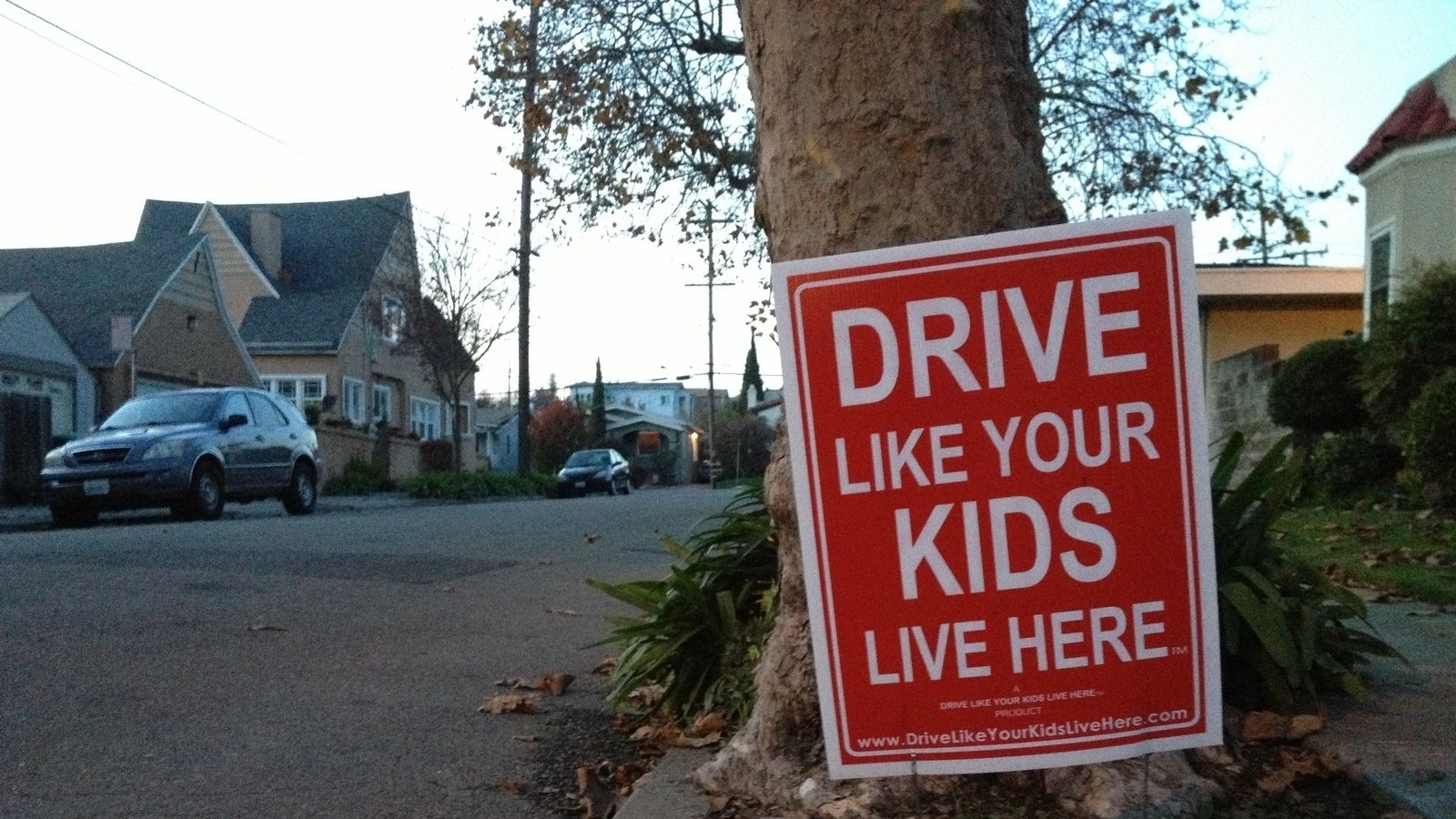 Petition · Install SpeedBumps in Berdoll Farms & Meadows Subdivision