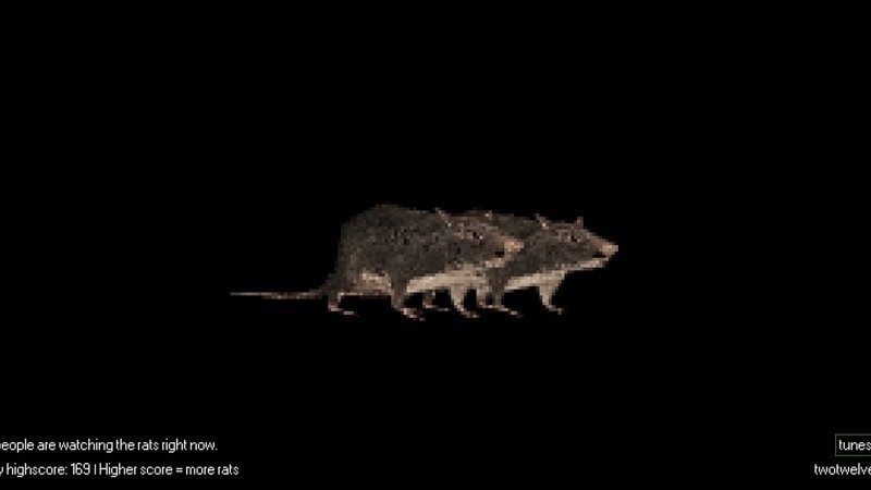 Petition · More spinning rats!!! - United States · Change.org