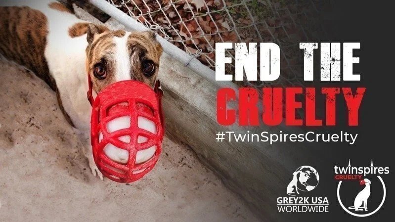 Petition Tell TwinSpires To Drop Dog Races Change petition-tell-twinspires-to-drop-dog-races-change