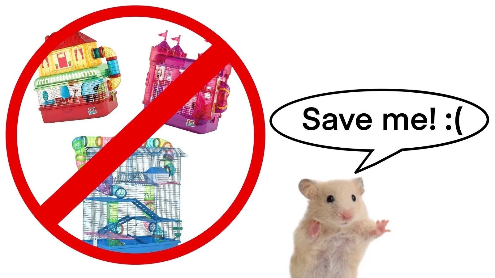 Petition · Ban the Sale of Harmful Hamster Enclosures United States