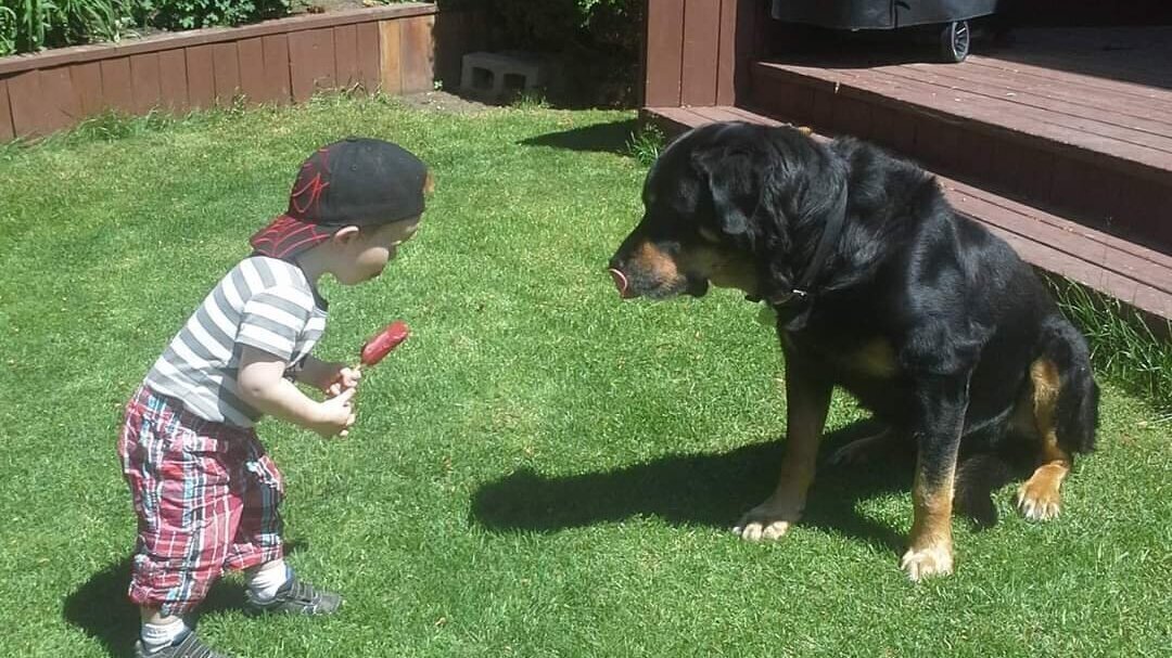 Petition · Change BCs Residential Tenancy Act to end discrimination