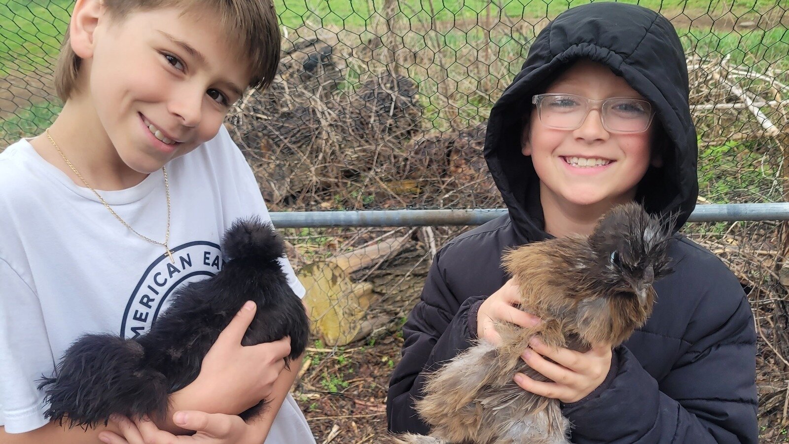 Petition · Allow Fenton Township Residents to Own Chickens for Sustainable Living United