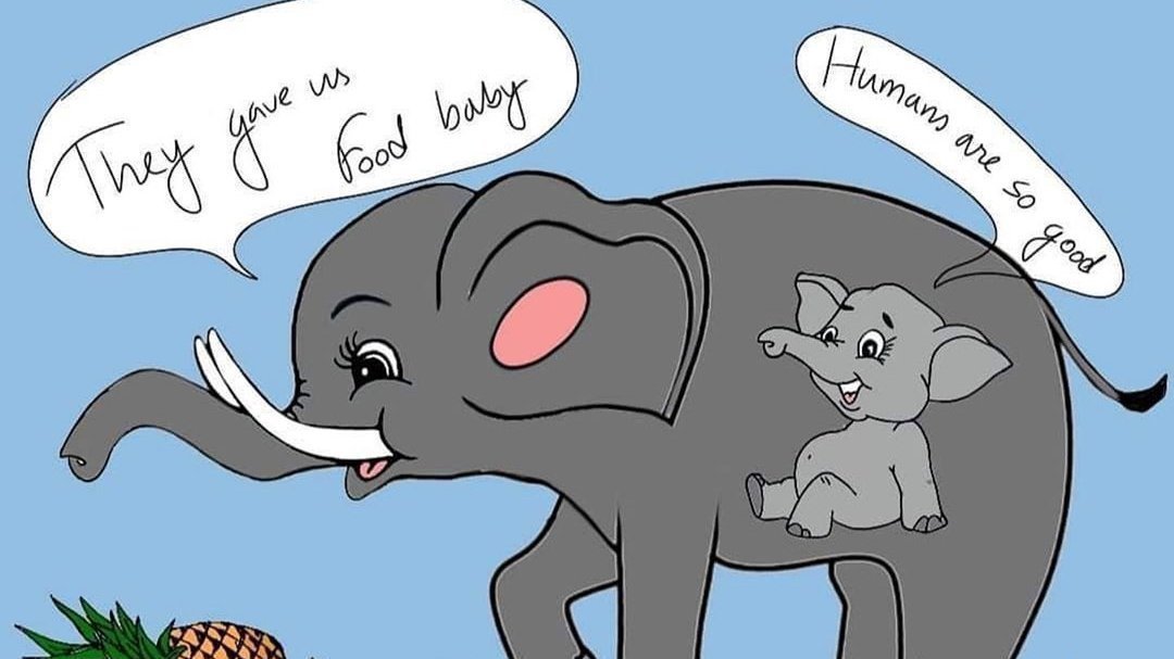 Petition · Justice for elephant. ·