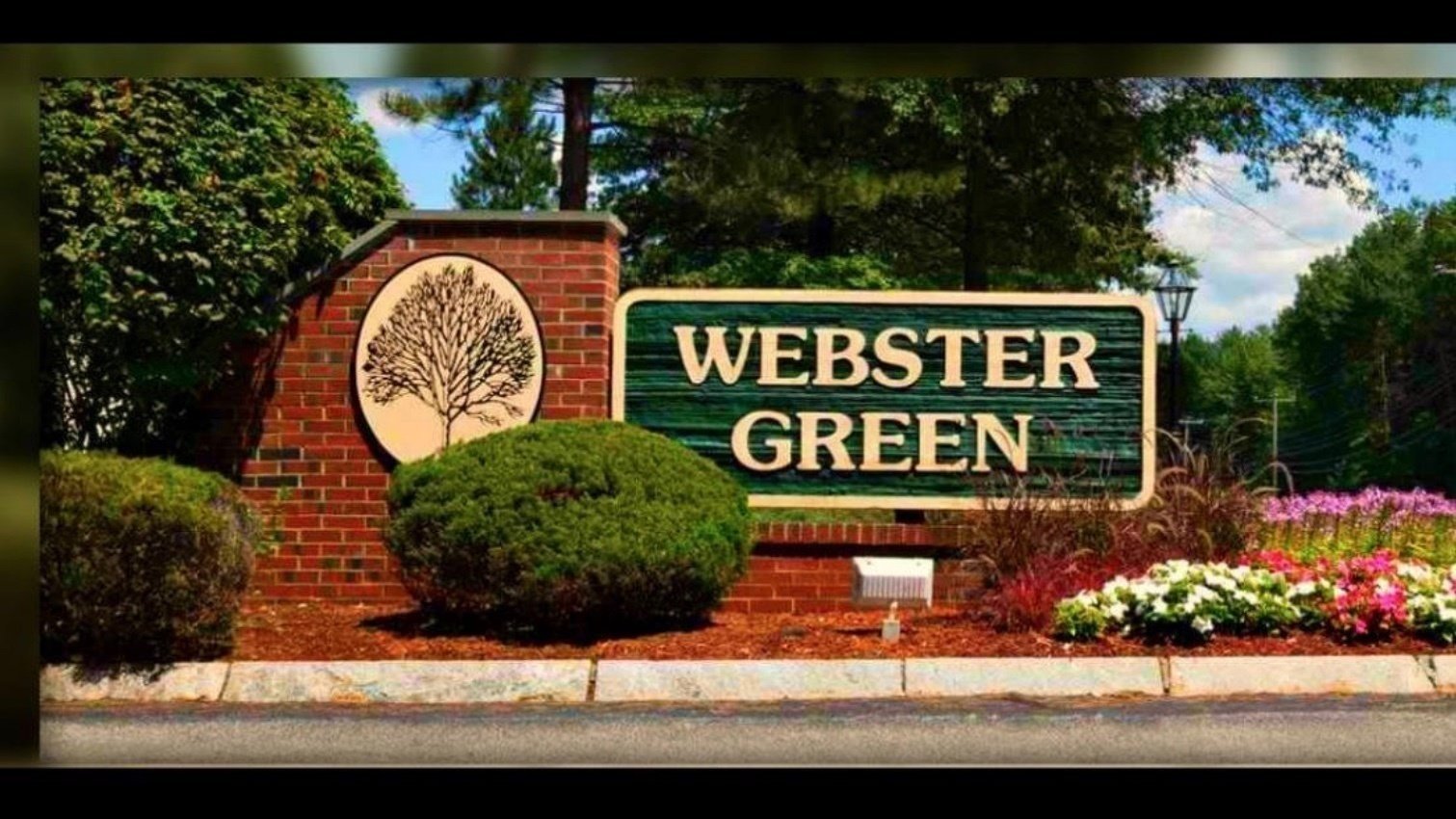 Petition · ster Green Condo Association United States ·