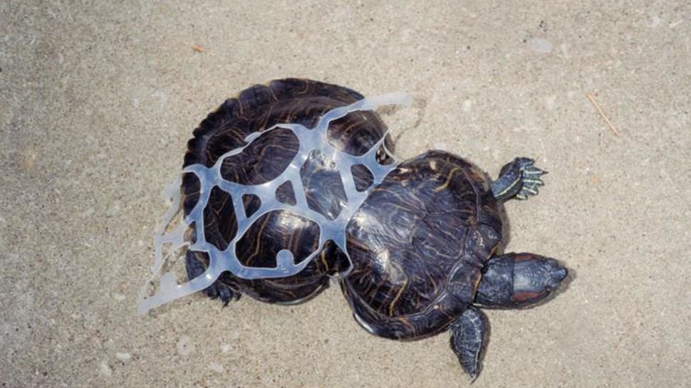Petition · Ban plastic packaging ·
