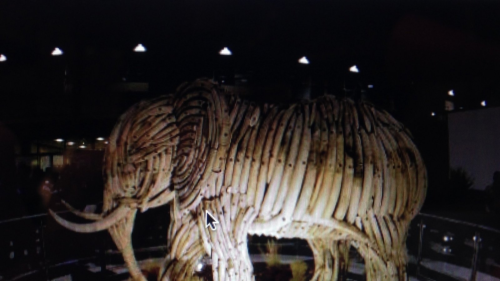 Petition · The international ivory ban has to remain in place ...