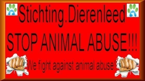 Petition · AN ANIMAL IS NOT A THING BUT ALSO A LIVING BEING WITH