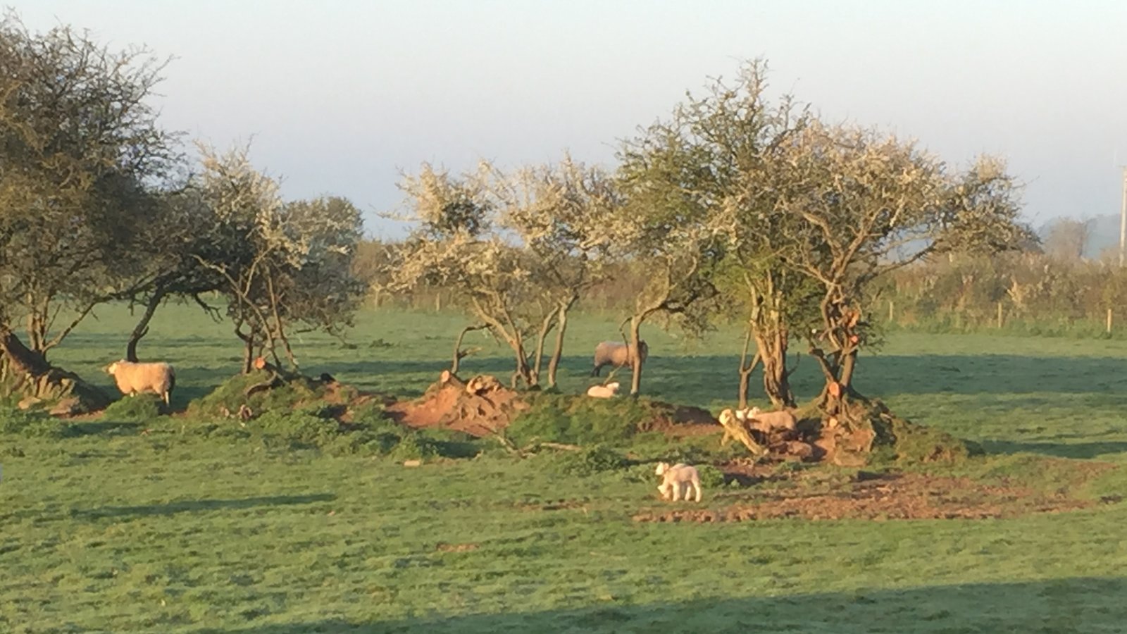 Petition · Save the field from development on school road Stoke Fleming