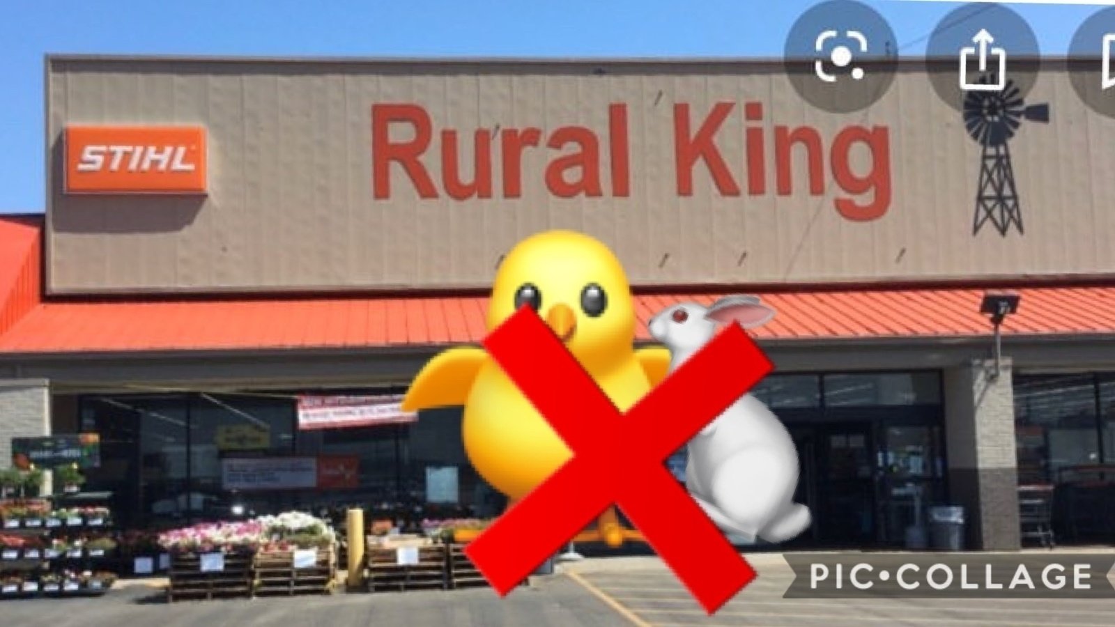 Petition · stop Rural king from selling animals ·