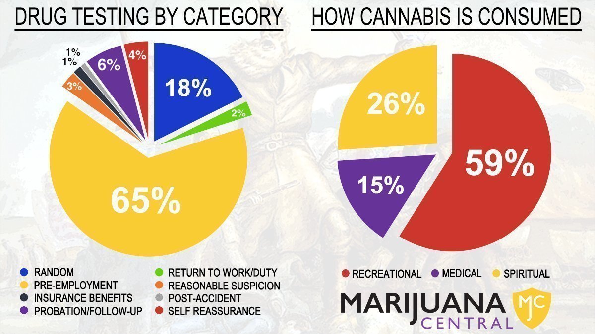 Petition · End Nationwide Cannabis Drug Test Discrimination United