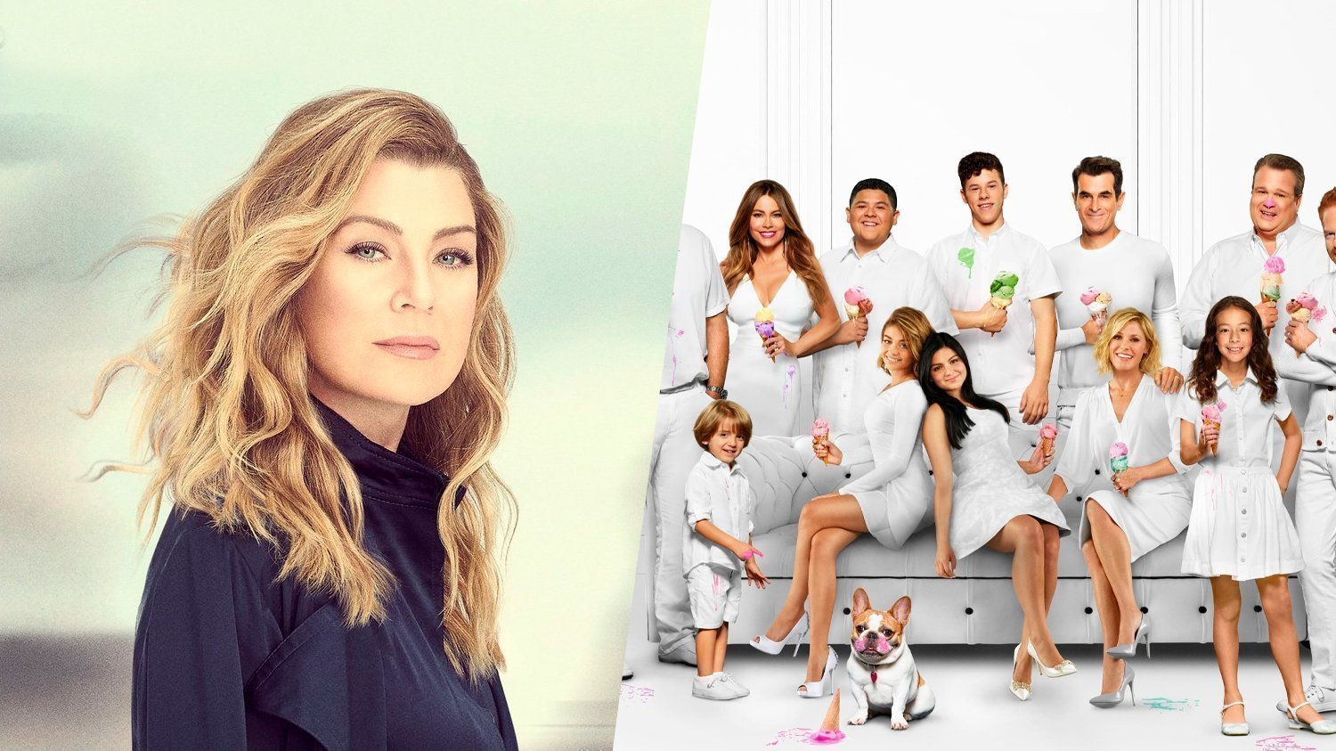 greys anatomy plataforma