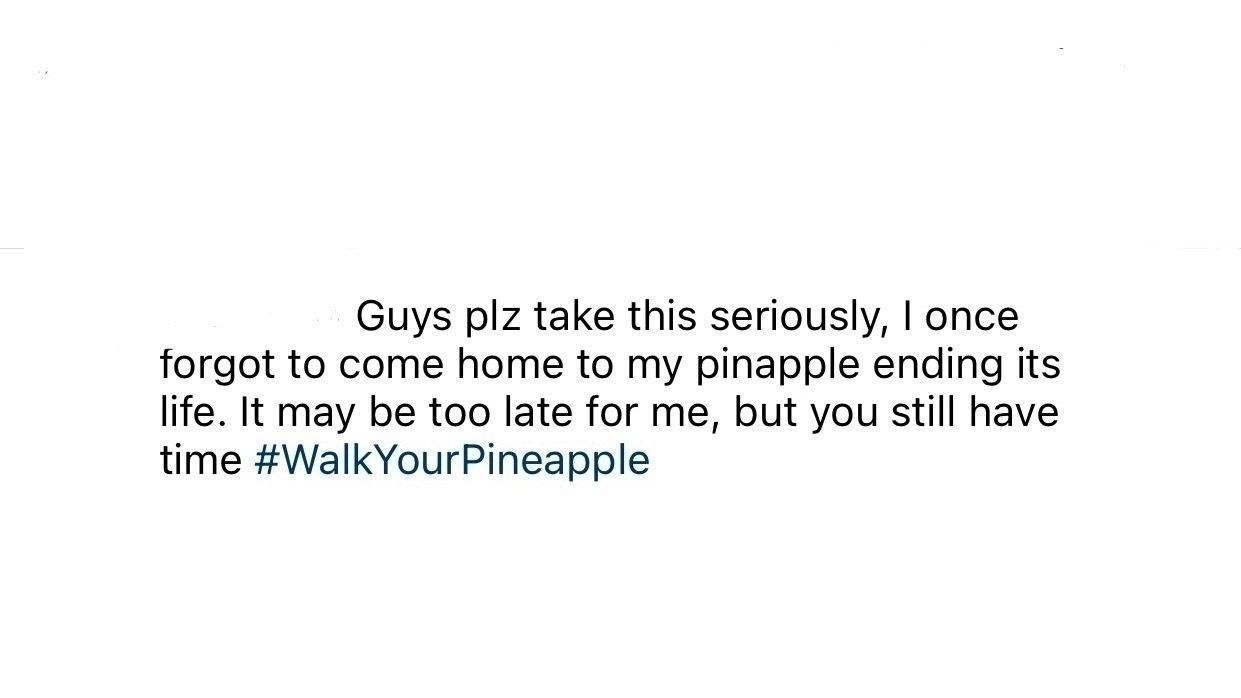 Petition · Pineapple safety Australia ·