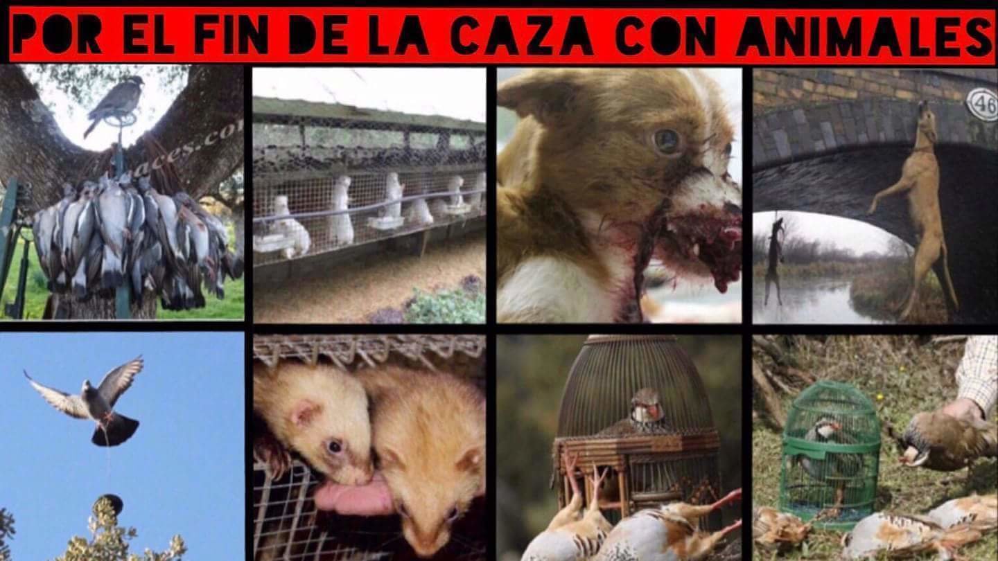 Petición · POR EL FIN DE LA CAZA CON ANIMALES · Petición · POR EL FIN DE LA CAZA CON ANIMALES ·