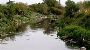 Petición · LIMPIEZA DEL ARROYO MORÓN, EL MÁS CONTAMINADO DEL MUNDO