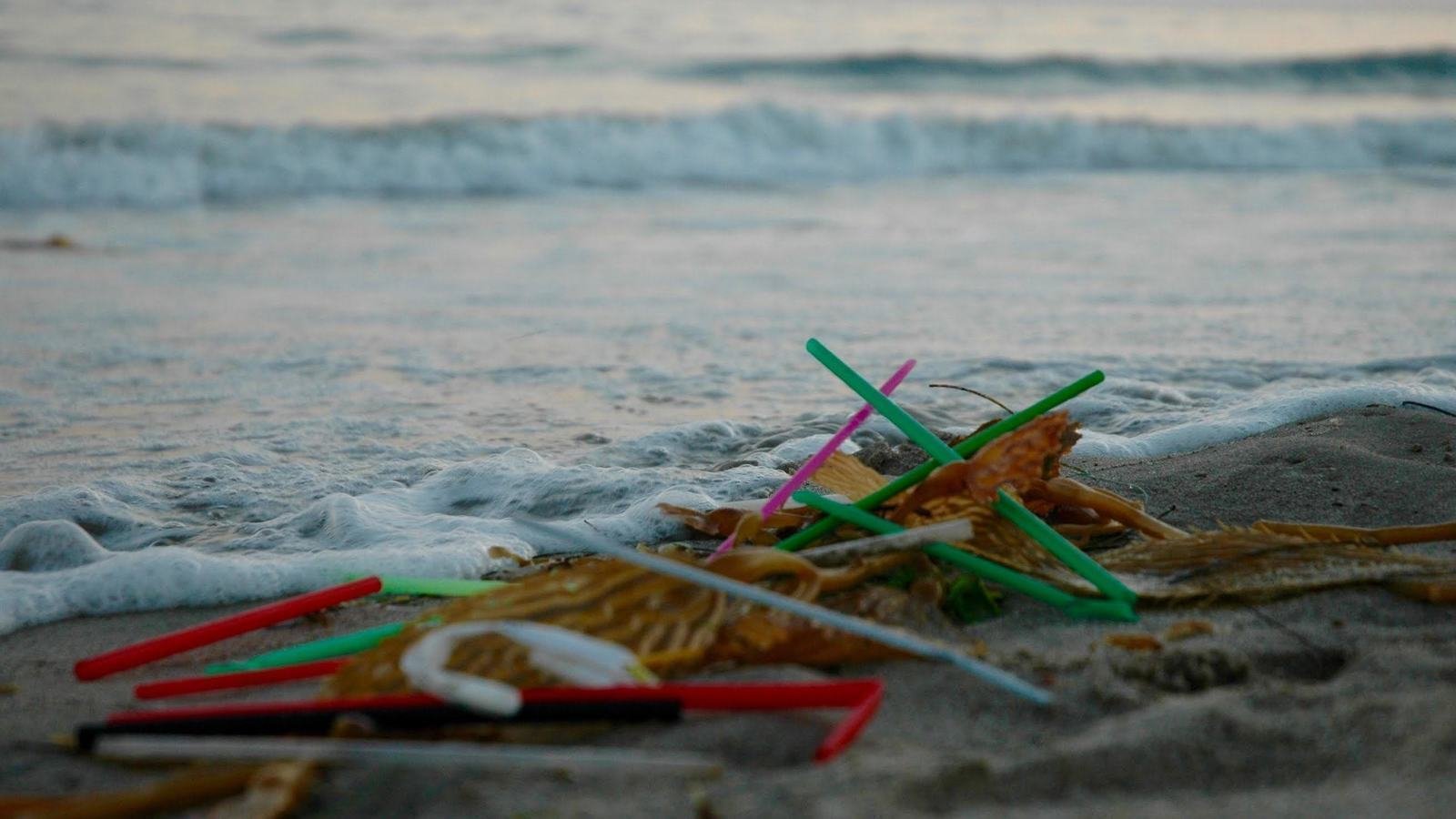 Petition · Ban Plastic Straws in Santa Barbara County! Santa Barbara