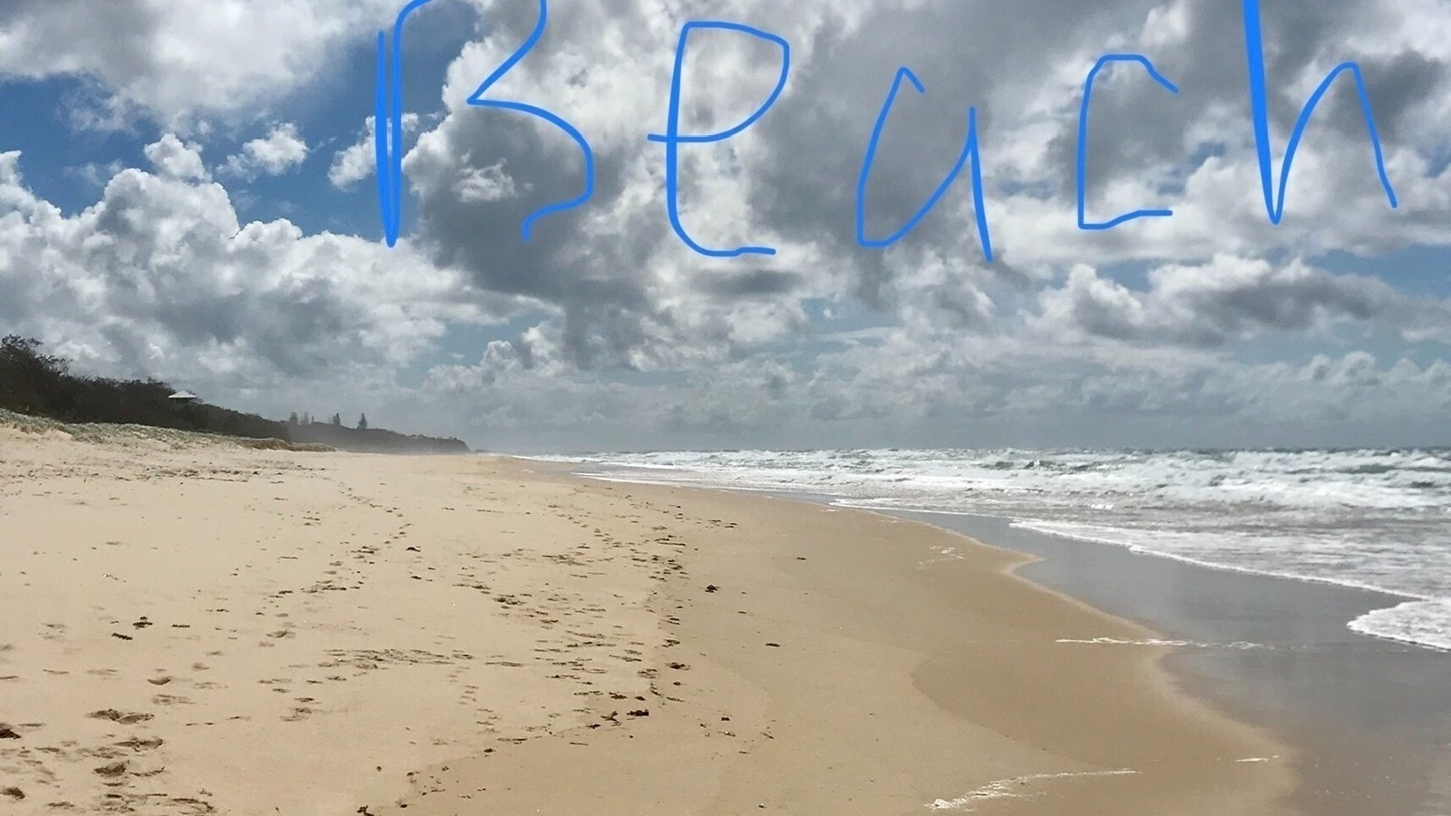 Petition · Dog off leash beach ·