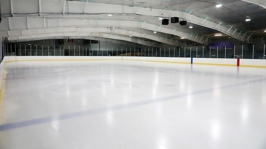 Riverhead Ice Rink Petition · An Indoor Skating Rink at Grumman Air Field - Riverhead ...