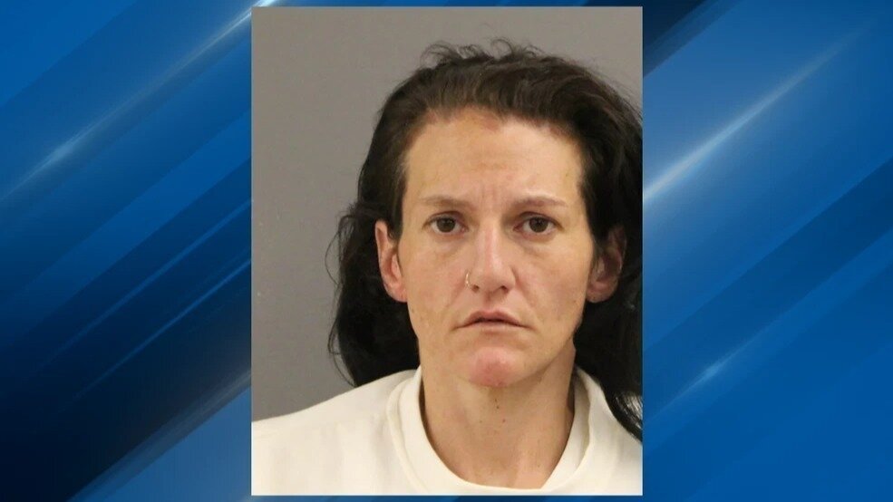 Petition · Add Animal Cruelty Charge to Woman Who Left Baby and Dog in ...