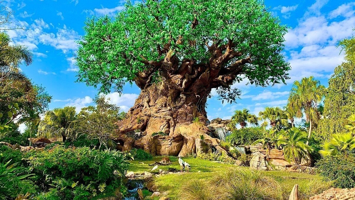 Talking Tree Disney Petition · Save the tree of life on Disney world - Irmo, United States ...