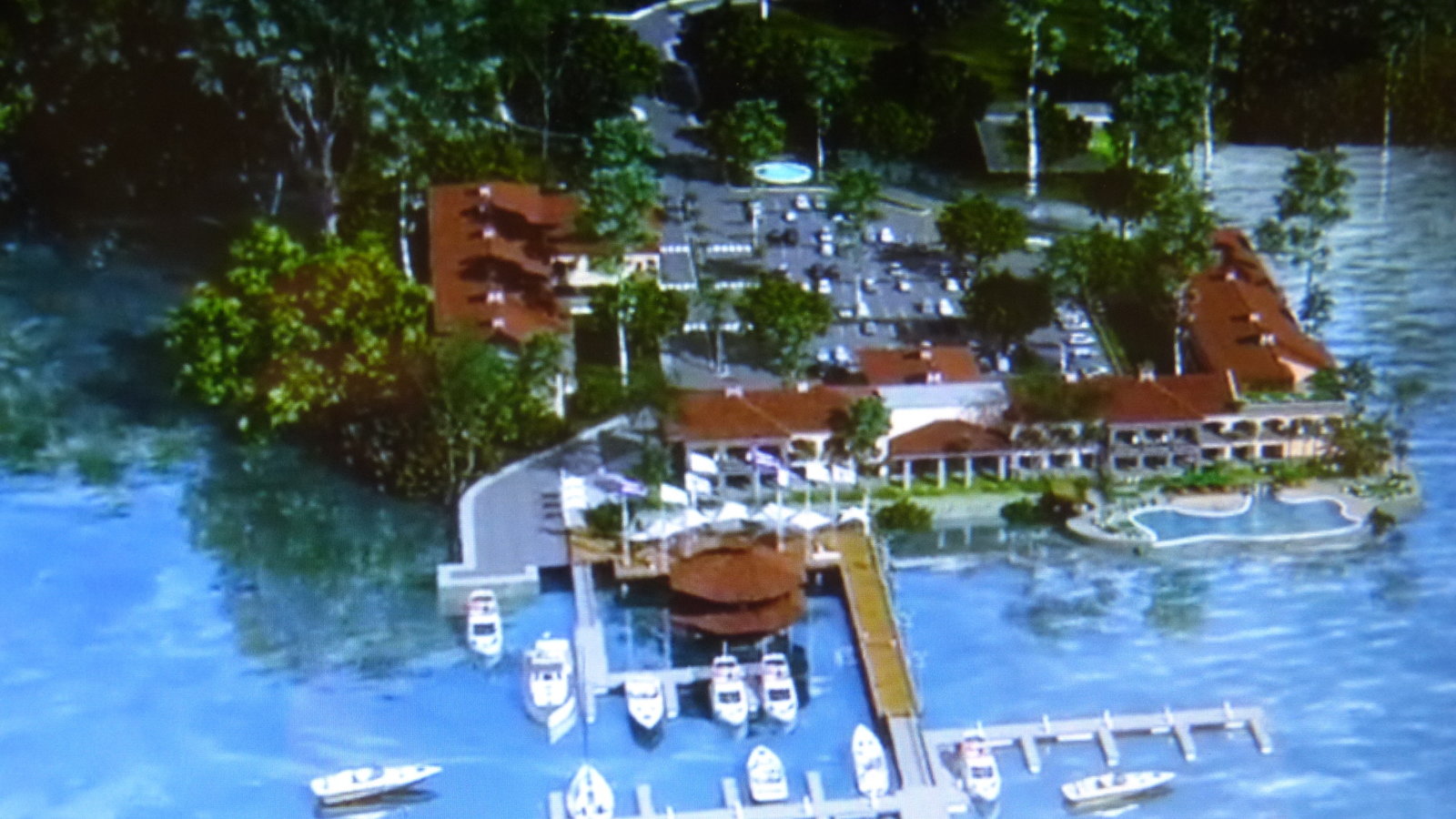 Petition · Prevent Hilton from building a hotel on top of a dolphin  breeding ground - Costa Rica · Change.org