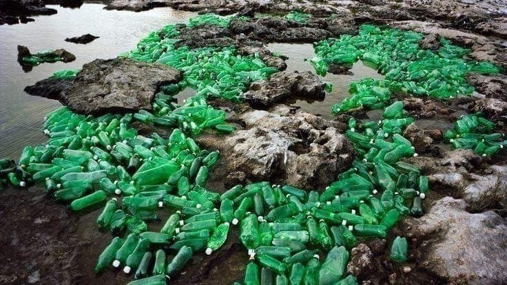 Petition · The Impact Of Plastic Water Bottles On The Environment