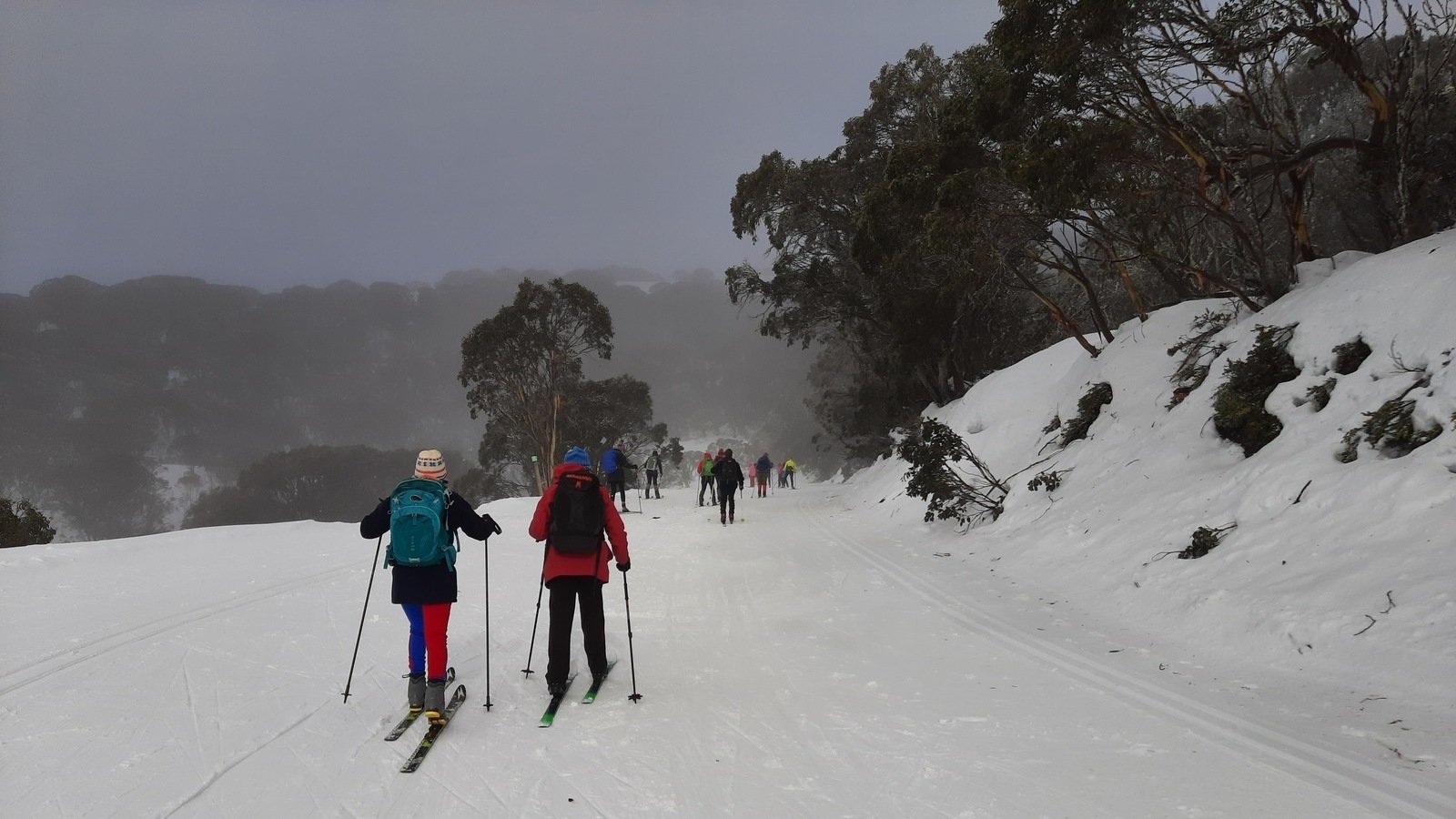 Petition · Save Falls Creek XC Ski Trails Australia ·