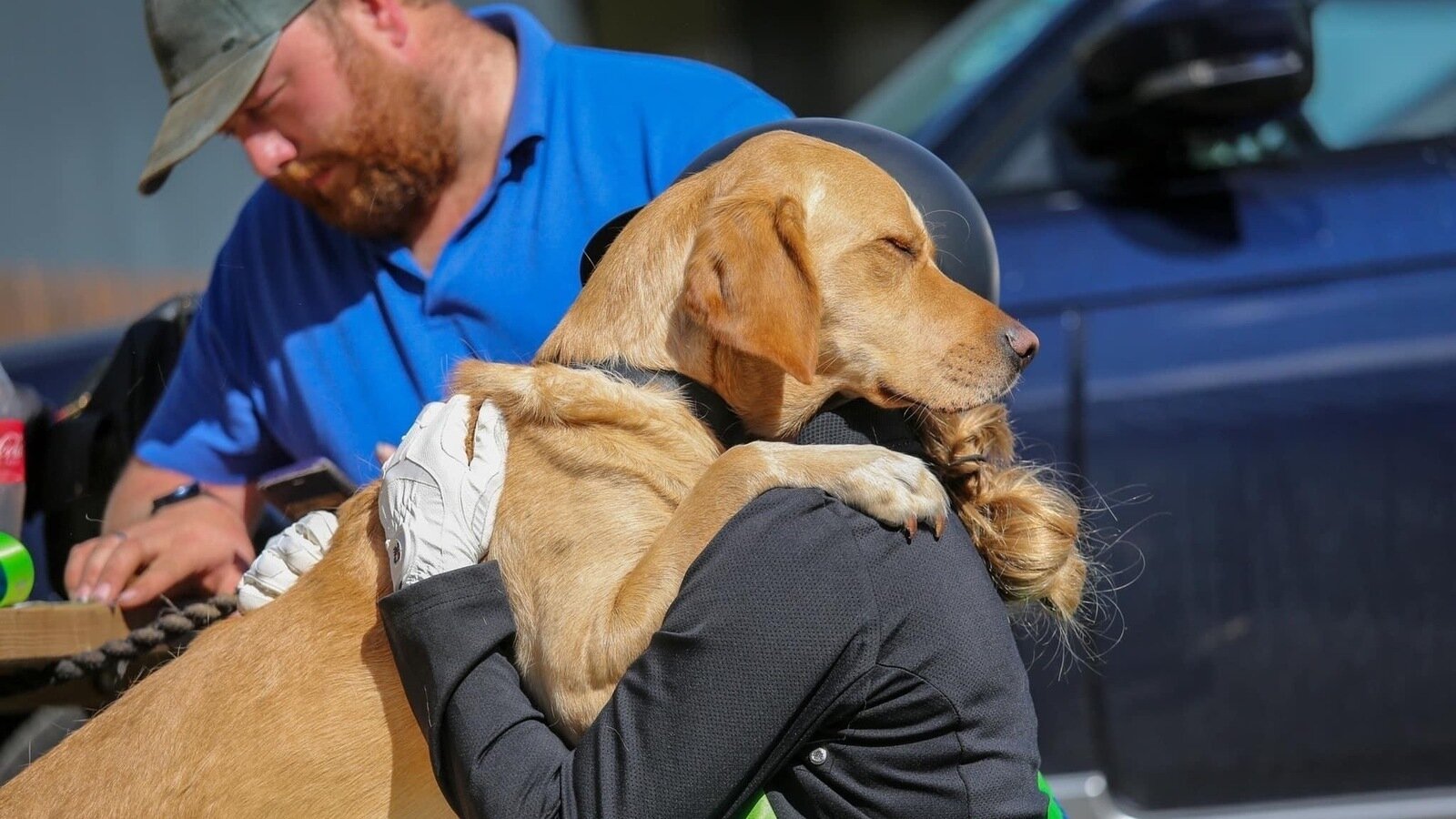 Petition · Equal Rights for OwnerTrained Assistance Dogs in the UK