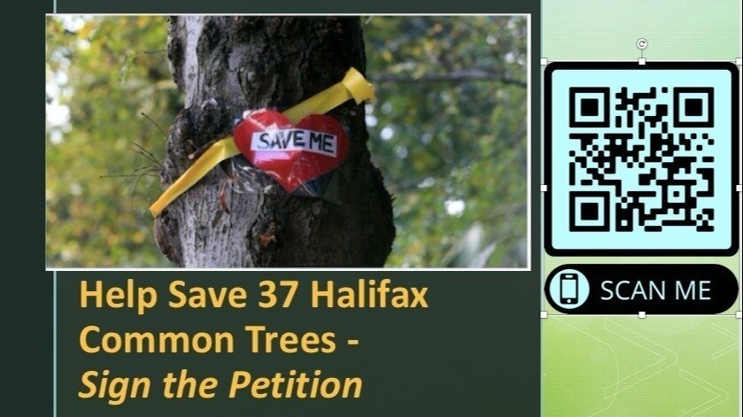 Petition update · Big Old Urban Trees Are Irreplaceable - Help Save ...
