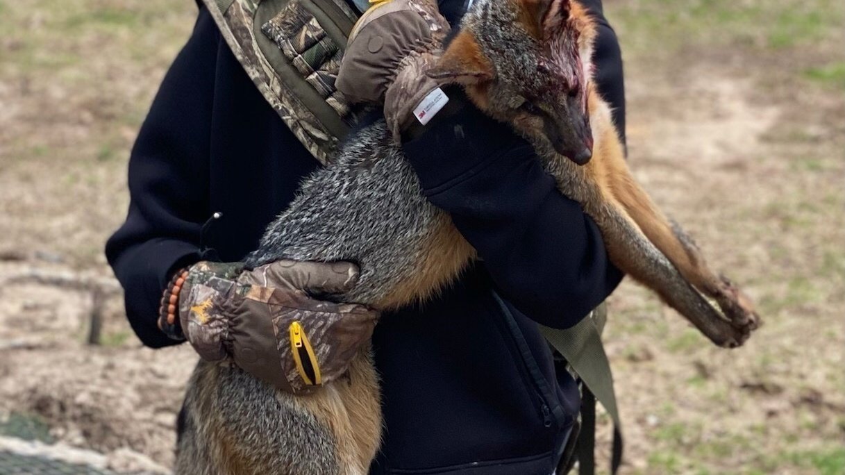 Petition · To make trapping on public land legal. ·