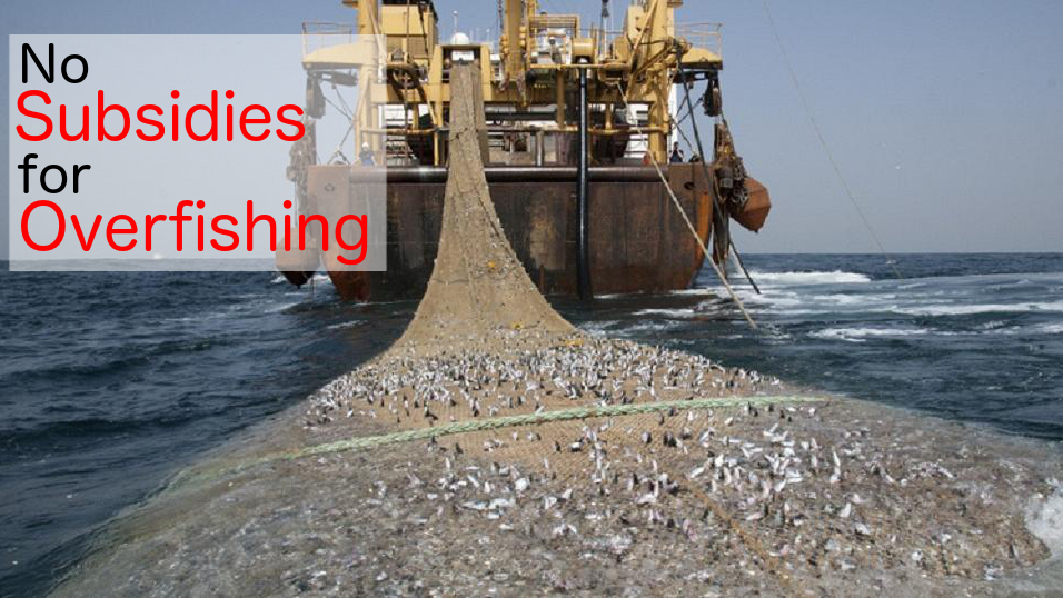 Petition · Issue 6 billion Euro to ocean protection and not to overfishing Germany ·