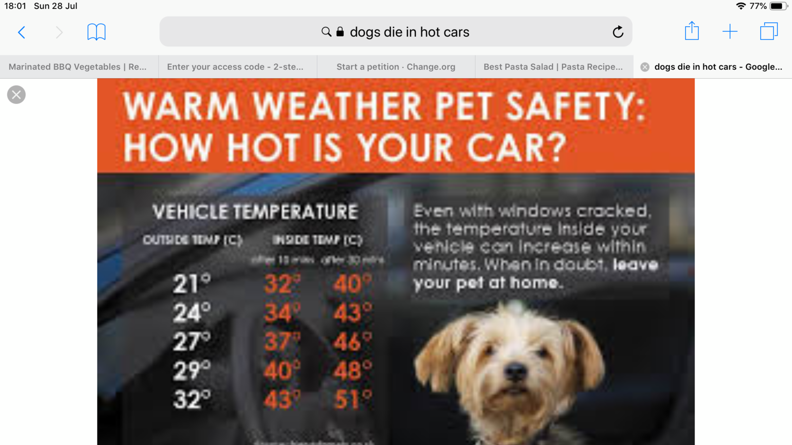 The Power Of The Dog Fin Explication Petition · Instant fine for leaving a dog in a car · Change.org