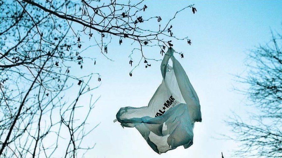 Petition · Stop Walmart from forcing customers to use plastic bags