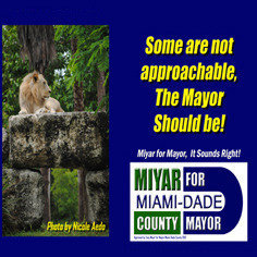Petition Vote For Miyar For Mayor Change Org