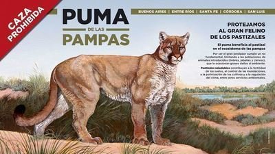 puma de la pampa puma de la pampa