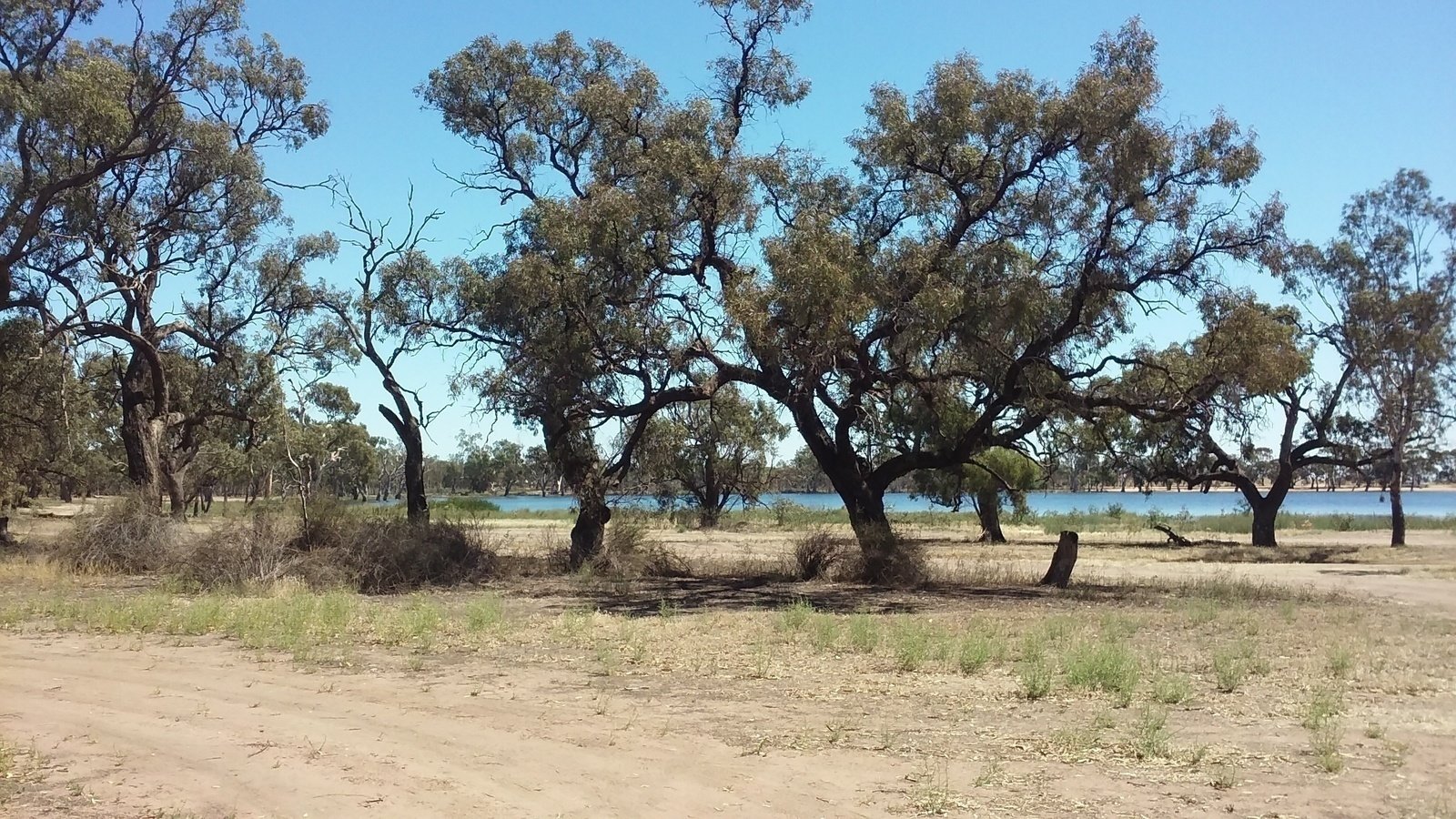 Petition · URGENT!! Drought stricken Charlton Victoria Needs Your Help ...