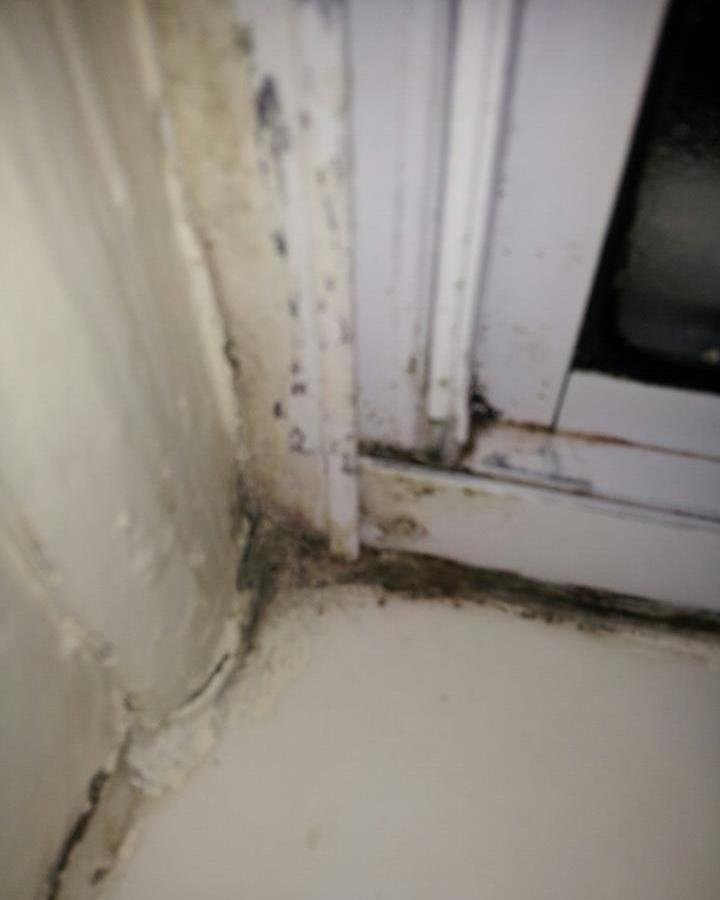 Petition · Alexandria Manor Apartments (Cornerstone Properties) The