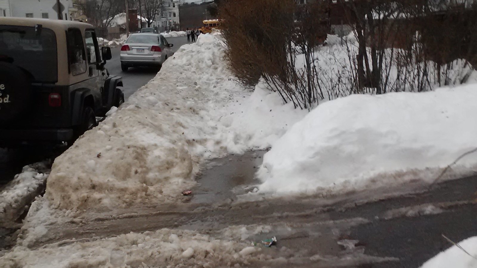 Petition · Enforce snow removal laws on business and homeowners