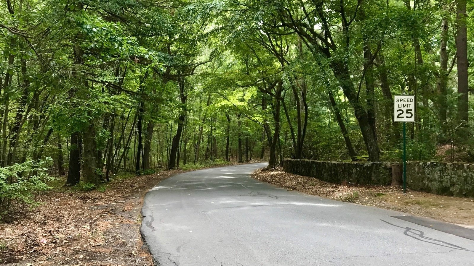 Petition · Preserve Pond Road! Save the Canopy! United States