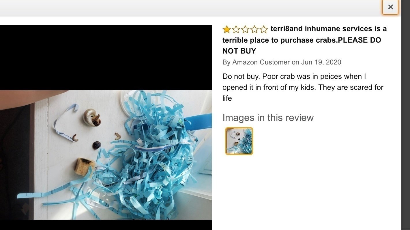 Petition · Ban amazon from selling live animals United States