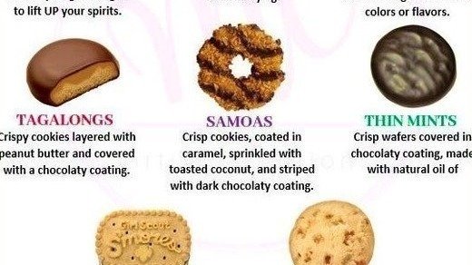 Petition Change The Names Of The Girl Scout Cookies United States petition-change-the-names-of-the-girl-scout-cookies-united-states