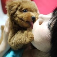 ChangeOrg profile picture for @cn