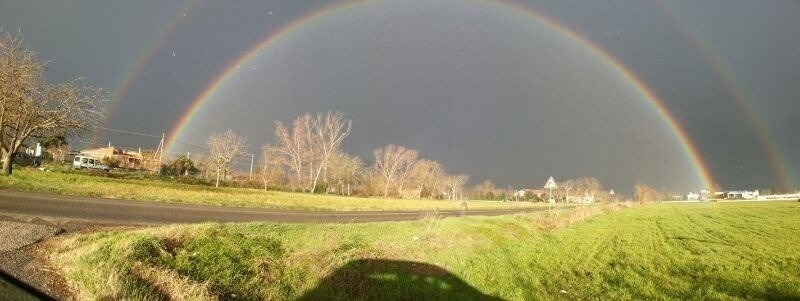 Asi Storiche Assicurazione Auto