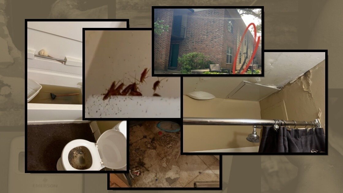 Petition · Demand Renter’s Rights for Arkansas Tenants ·