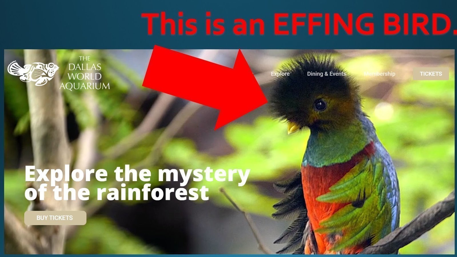 Petition · Name Change for The Dallas World Aquarium United States