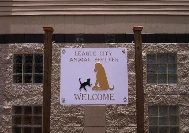 League City Animal Shelter - Sj4gfafpwmmsim : Our purpose is stop the