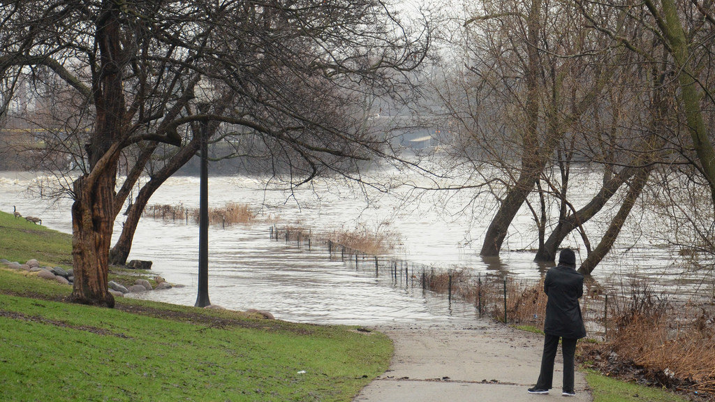 Petition · Clean the Chicago River United States ·