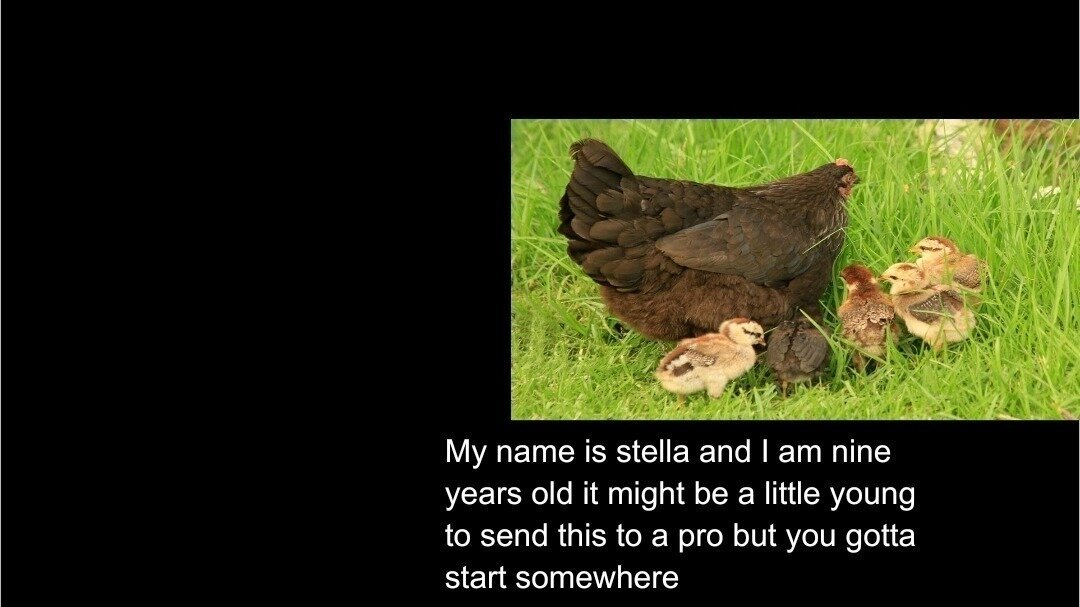 Petition · Permit Mirasol Homeowners to Keep Chickens on Their Property