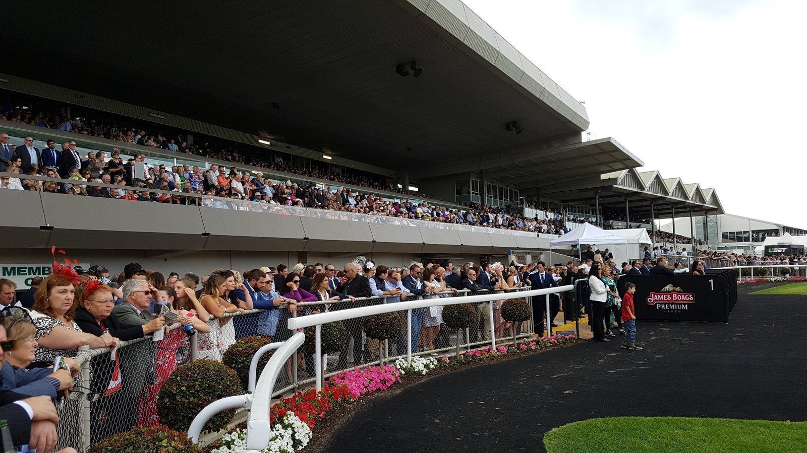 Petition · SA Government Support for SA Horse Racing Australia