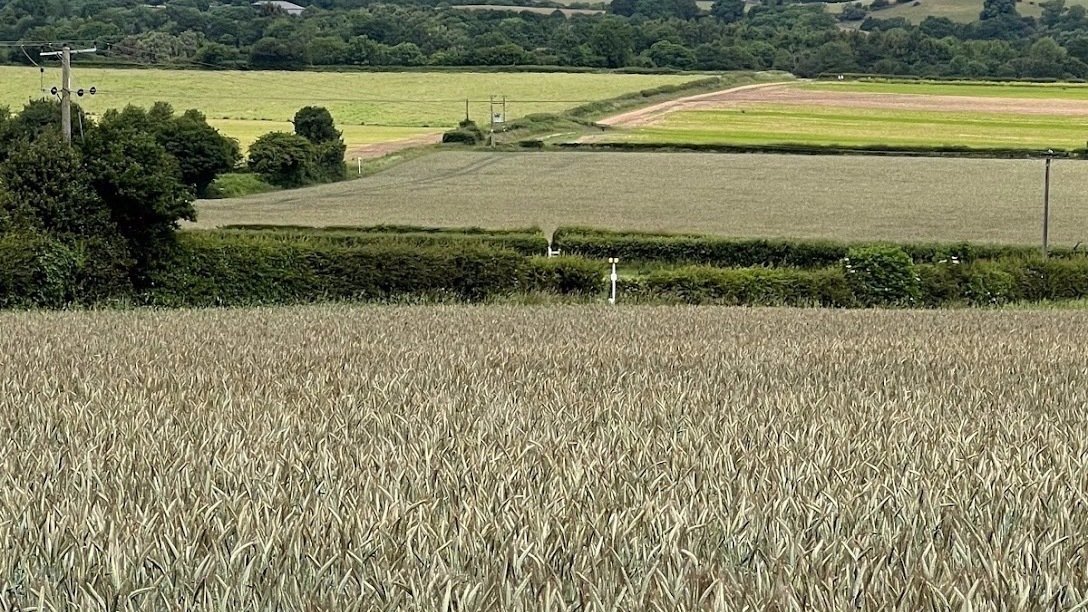 Petition · Habberley Road Field Grow for Britain United Kingdom