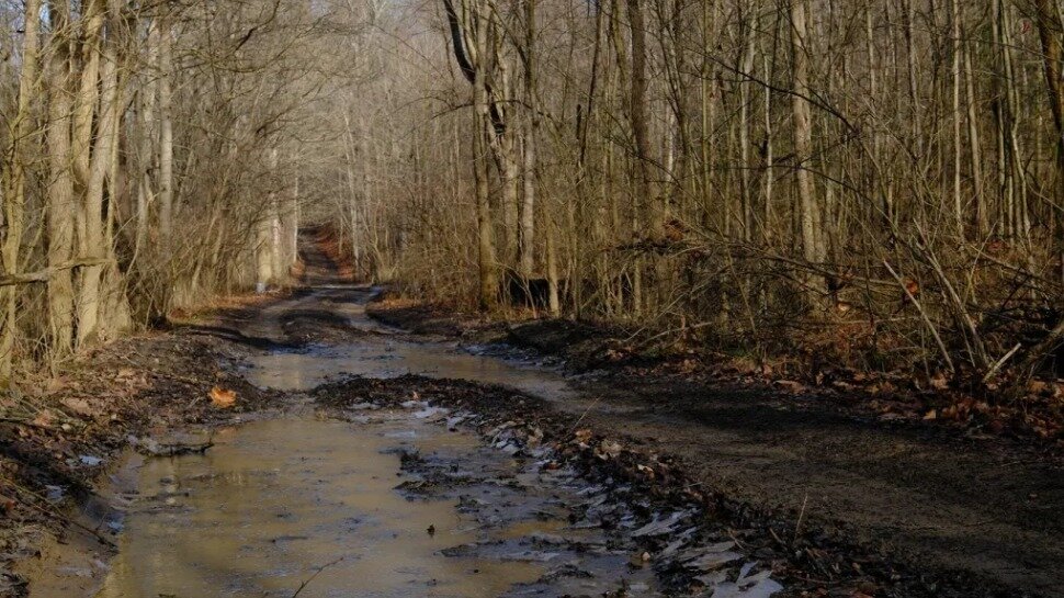 Petition · Keep Bat Nest Road Open!! - United States · Change.org